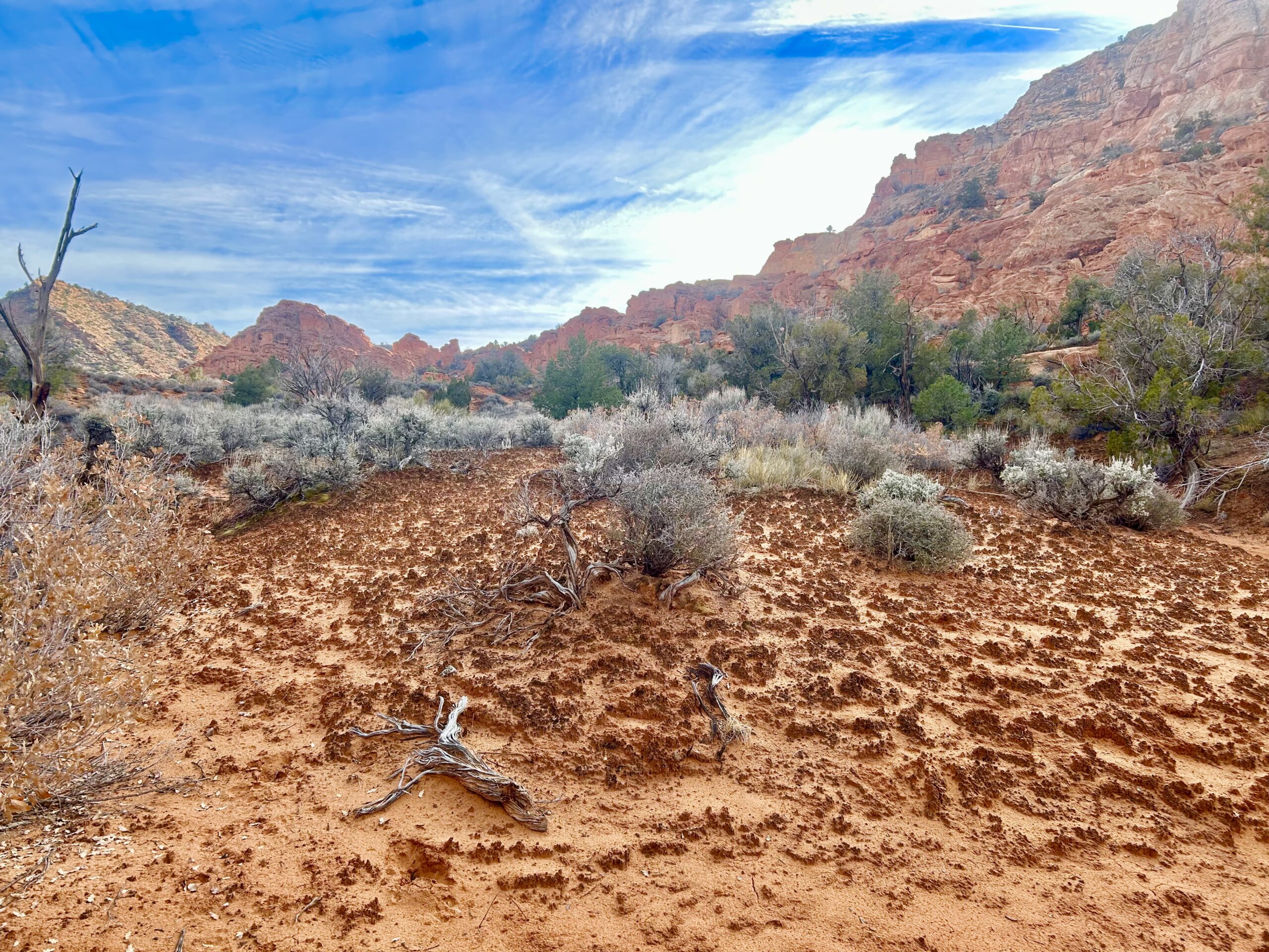 Living Soil